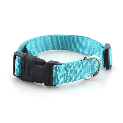 Solid Nylon Pet Collar and Leash Set
