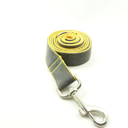 Creative Gray Dog Leash