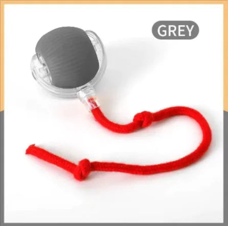 Pet Toy Ball – Bite-Resistant & Fun for Cats