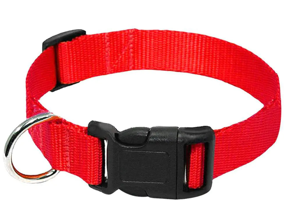 Solid Nylon Pet Collar and Leash Set