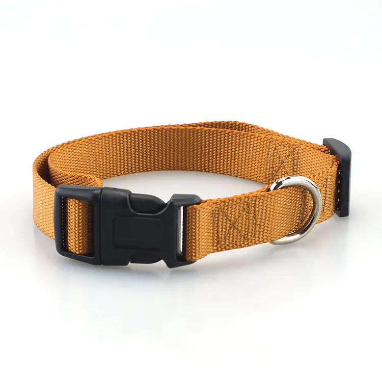 Solid Nylon Pet Collar and Leash Set