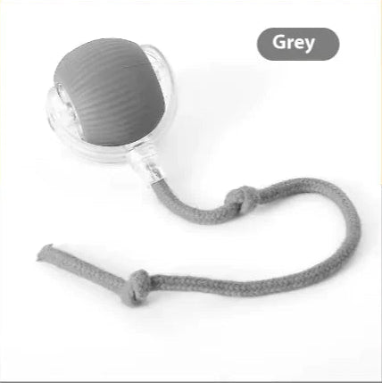 Pet Toy Ball – Bite-Resistant & Fun for Cats