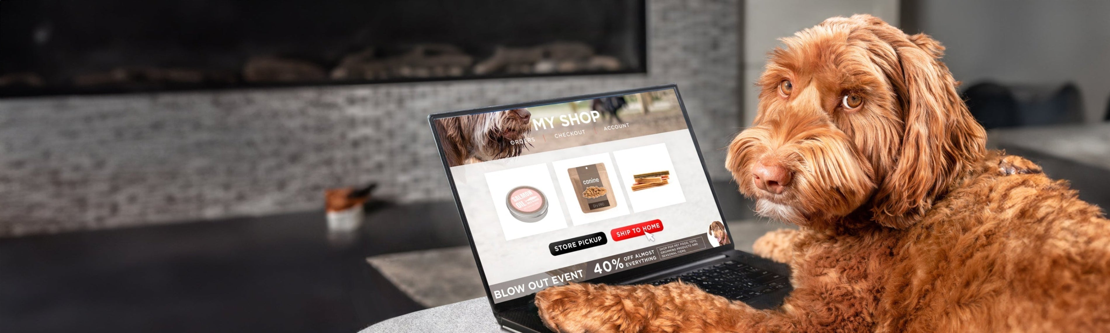 Home Page Banner Image