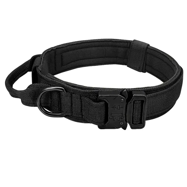 Solid Nylon Pet Collar and Leash Set