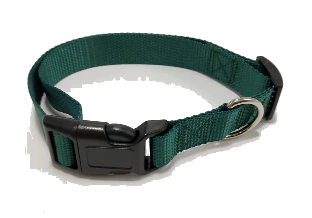 Solid Nylon Pet Collar and Leash Set